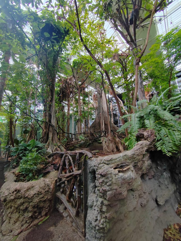 park-šuma-maturalac-privatna-škola-futura-2025